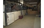 Property photo 26 - 80 Acres Offered in 4 Tracts - Horse Farm